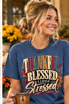 Thankful Blessed & a Little Stressed — Gildan Softstyle 64000 — Denim Blue — Front Lifestyle