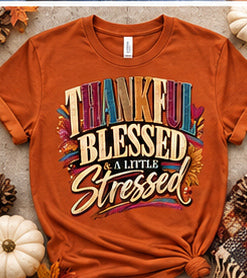 Thankful Blessed & a Little Stressed — Gildan Softstyle 64000 — Texas Orange — Styled Flatlay Front